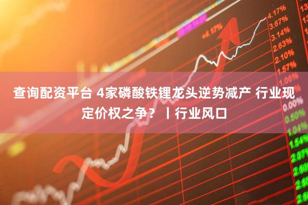 查询配资平台 4家磷酸铁锂龙头逆势减产 行业现定价权之争？丨行业风口