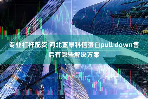 专业杠杆配资 河北蓝景科信蛋白pull down售后有哪些解决方案