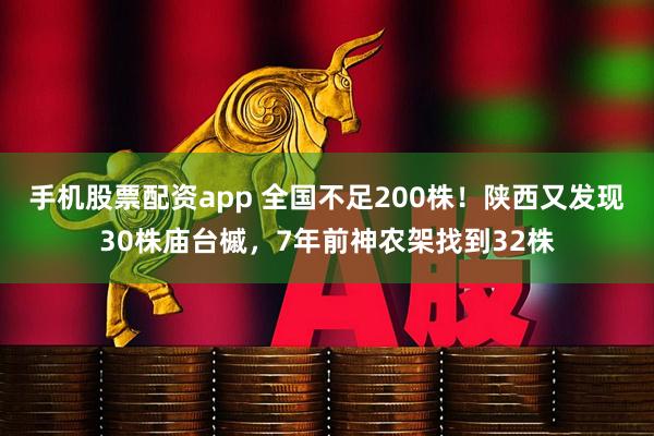 手机股票配资app 全国不足200株！陕西又发现30株庙台槭，7年前神农架找到32株